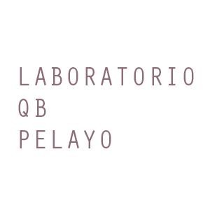 Laboratorio Qb Pelayo